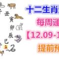 十二生肖運勢：每周運勢【12.09-12.15】提前預知！