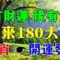 前有財運，後有貴人，未來180天內開運發財的生肖