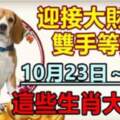 10月23日～28日迎接大財運，這些生肖大旺財