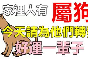 你家裡人有屬狗的嗎，請為他們轉發，今天開始*好運一輩子*！