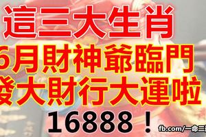這三大生肖6月財神爺臨門，發大財行大運啦！16888！
