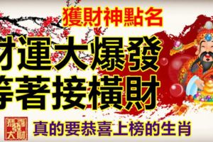 獲財神點名，財運大爆發，等著接橫財，真的要恭喜上榜的生肖。