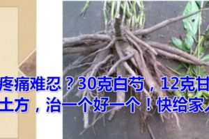 膝蓋疼痛難忍？30克白芍，12克甘草，農村土方，治一個好一個！快給家人存