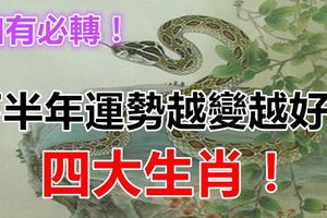 下半年運勢越變越好的四大肖！如有必轉！