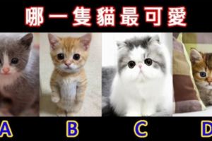 超准！測出你天生具備哪種魅力！