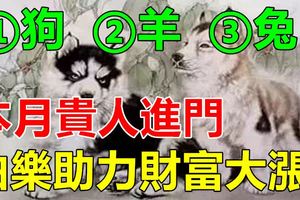 本月貴人進門，伯樂助力財富大漲的3大生肖！