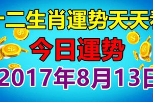 十二生肖運勢天天看，今日運勢：8月13日