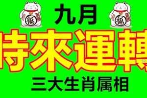 時來運轉的三大生肖