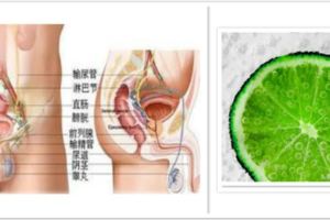 吃什麼緩解前列腺炎，不值錢的它竟能保護前列腺