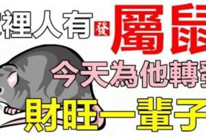 你家裡人有屬鼠的嗎，今天為他轉發，2017年開始*財旺一輩子*！