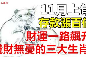 11月上旬，財運一路飆升，橫財不斷，存款漲百倍，錢財無憂三大生肖！