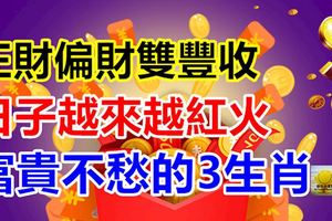 正財偏財雙豐收，事業蒸蒸日上，日子越來越紅火，富貴不愁的生肖
