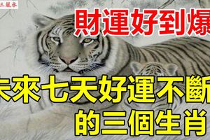 未來七天好運不斷的三個生肖，財運好到爆！