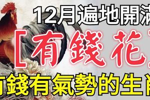 12月遍地開滿「有錢花」，有錢有氣勢的三大生肖！