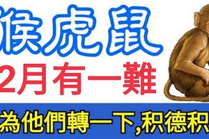 屬猴，虎，鼠的人，12月有一難！請為他們轉一下，積德積福！