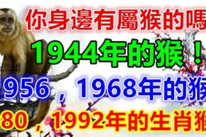 你身邊有屬猴的嗎？1944，1956，1968，1980，1992年的生肖猴！神準！