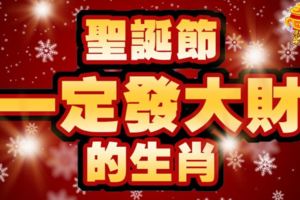 聖誕節，一定發大財的生肖