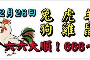 12月26日生肖運勢_兔、虎、羊大吉