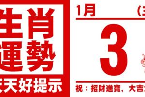 生肖運勢，天天好提示（1月3日）