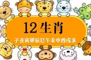 最新2018年十二生肖運勢，准到嚇人，看完記得分享給身邊的人