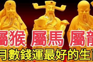1月誰的數錢運也沒有這3個生肖好，大獎小獎數不清！