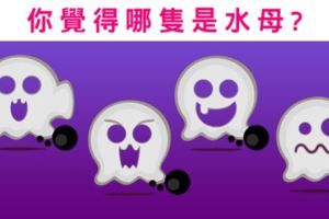 準爆了！你覺得哪隻是水母？測你心中最不想和誰分開？