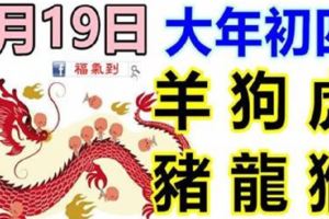 2月19日生肖運勢_羊、狗、虎大吉
