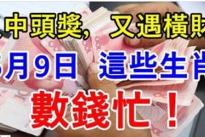 5月9日，這些生肖又中頭獎，又遇橫財！數錢忙！