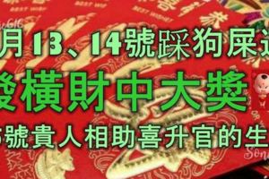 6月13、14號踩狗屎運，發橫財中大獎，15號貴人相助，喜陞官的生肖