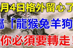 7月4日要格外留心了！一個龍，一個猴，一個兔，一個羊，一個狗！真的靈！