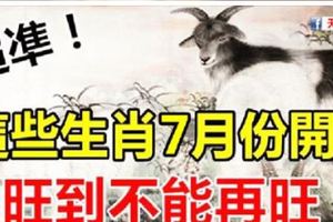 這些生肖7月份開始，旺到不能再旺！財是橫財，獎是頭獎！