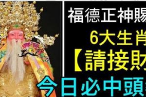 福德正神賜財，6大生肖【請接財】今日財運暴漲必中頭獎