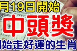 7月19日，開始走好運的生肖，財是橫財，中獎就是頭獎！