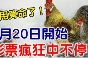 不用算命了！7月20日開始，這些生肖彩票瘋狂中不停！