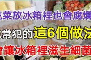 原來蔬菜放冰箱裡也會腐爛？你常犯的這6個做法，都會讓冰箱裡滋生細菌