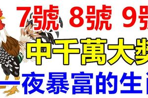 8月7號8號9號3天內有望中一次千萬大獎，接住必一夜暴富的生肖