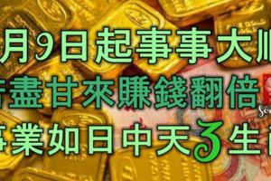 8月9日起事事大順，苦盡甘來，賺錢翻倍，事業如日中天的3生肖