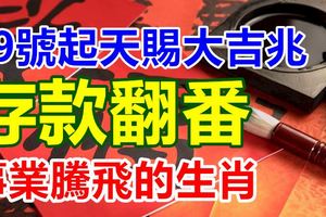 19號起天賜大吉兆，橫財大獎接不嬴，存款翻番，事業騰飛的生肖