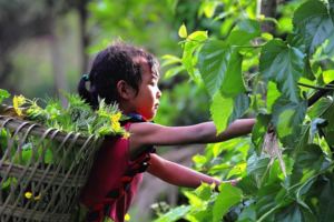 5歲留守女童每日幫患病母親割牛草，只要媽媽在就感到很知足