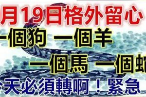 9月19日要格外留心了，一個狗，一個羊，一個馬，一個蛇