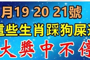 9月19，20，21號，這些生肖踩狗屎運，橫財大發800萬