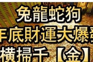 兔龍蛇狗，年底財運大爆發，橫掃千【金】