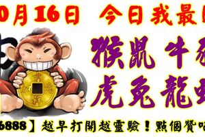 10月16日，今日我最旺！猴鼠牛豬虎兔龍蛇！【56888】越早打開越靈驗！點個讚吧！