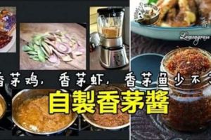 【自家做香茅醬】找到了這個食譜，這香茅醬味道非常棒。可以冷藏1個月左右。可以用來做多種美味料理