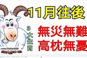 11月往後無災無難不操心的3大生肖，高枕無憂，賺錢數鈔票！