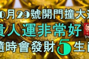 10月29號開門撞大運，貴人運非常好，隨時會發財的5大生肖！