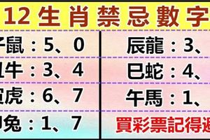 12生肖禁忌數字。