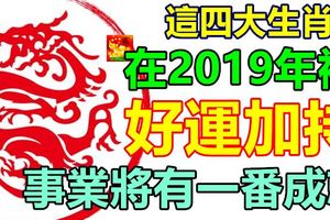 這四大生肖在2019年裡好運加持，財運環繞，事業將有一番成就！