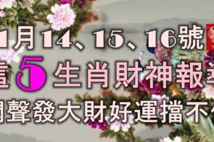 11月14、15、16號內，這5大生肖財神報道，悶聲發大財，好運擋不住！