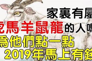 家裡有這五大生肖，2019年馬上有錢，為他們點一點吧